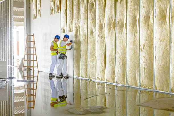 Best Local Insulation Services  in New York, NY